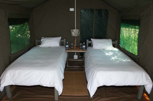 Drifters Maun Lodge tent binnen